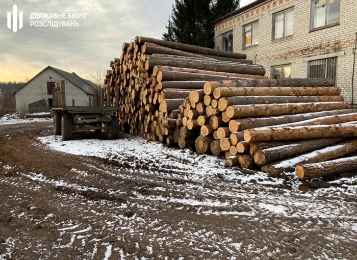 Лісничих із Житомирщини підозрюють у розтраті держмайна на 6 млн грн. Фото: ДБР