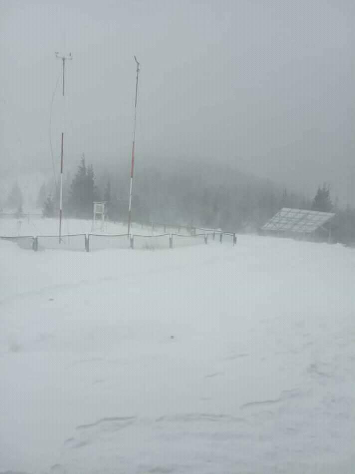 Погода в Карпатах: снежный шторм охватил высокогорья, туристов просят повременить с походами / Фото: Фейсбук
