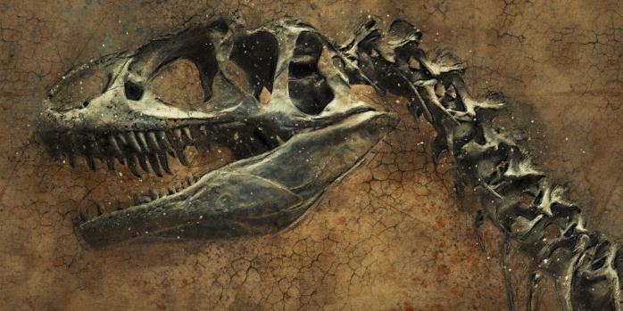 Учені виявили пухлину віком понад 60 млн років