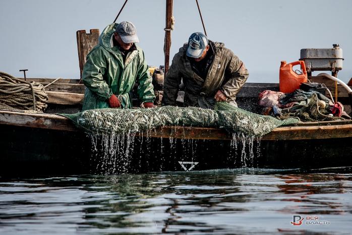 Задержанные на Азове украинские рыбаки признались в браконьерстве — росСМИ, фото — НВ