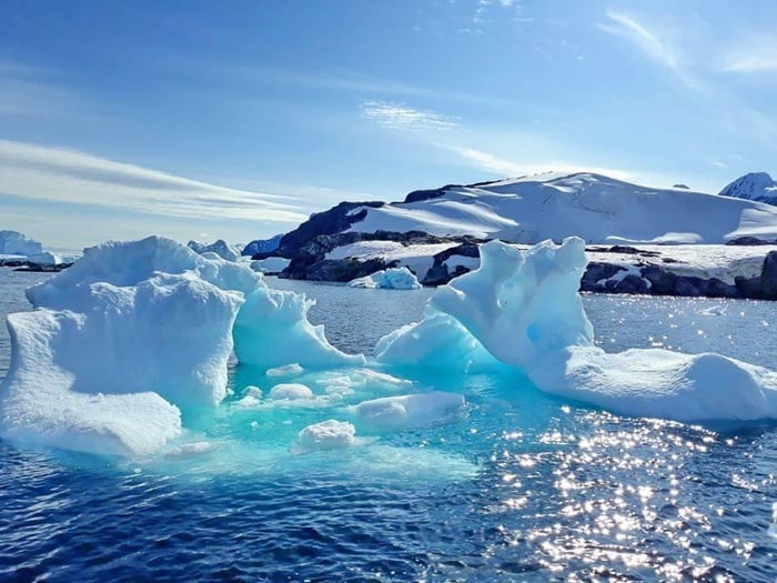 Антарктида летом. Фото: Facebook