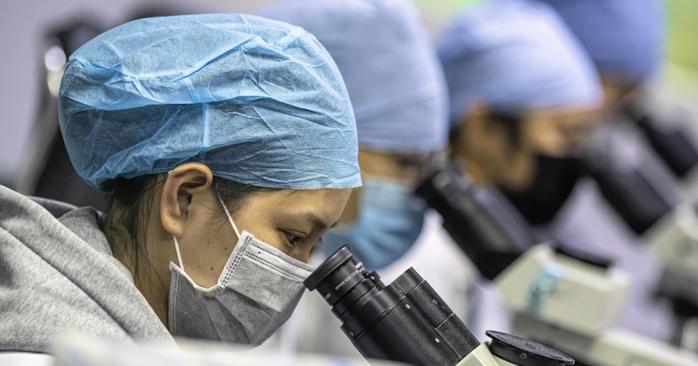 В Китае заявили об увеличении инкубационного периода коронавируса. Фото: expert.ru