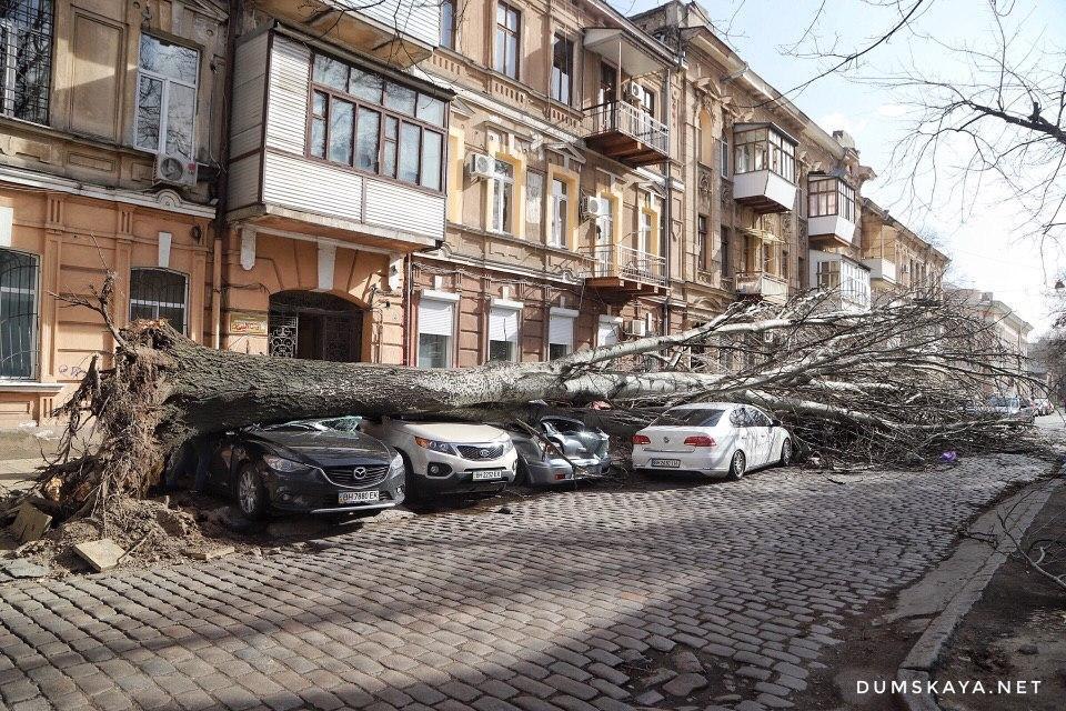В Одессе бушует непогода. Фото: Думская