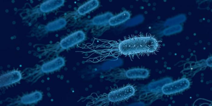 Винахід американських учених дозволить відфільтровувати шкідливі бактерії з рідин тіла