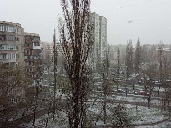 Снег в последний день марта, фото — А.Мищенко