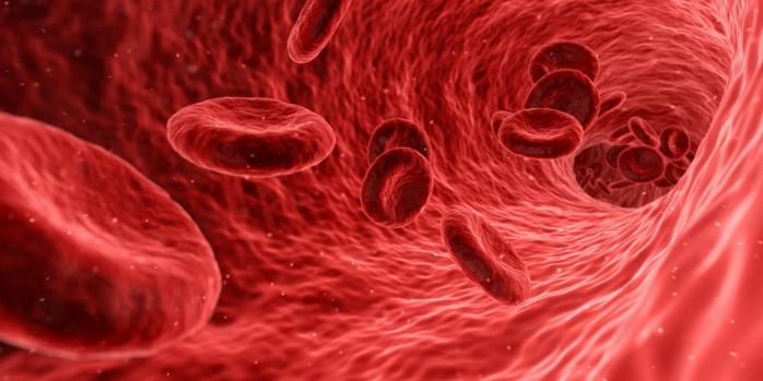 Кровь может рассказать о наличии более чем 50 видов рака