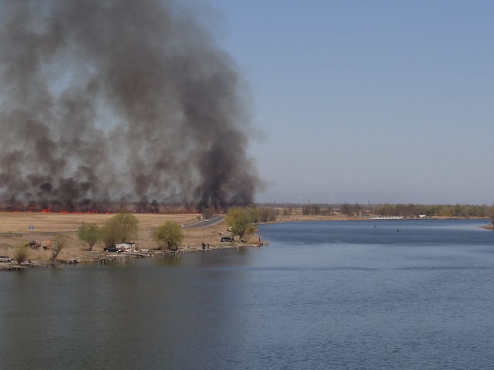 Пожар в нацпарке. Фото: пресс-служба Нижнеднестровского парка