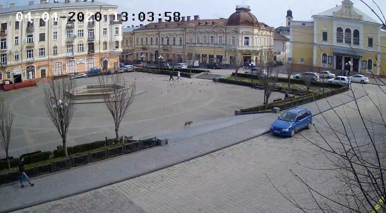 Очереди за продуктами и пустые улицы: как в Черновцах придерживаются «комендантского часа», фото — Pavlovskiy News