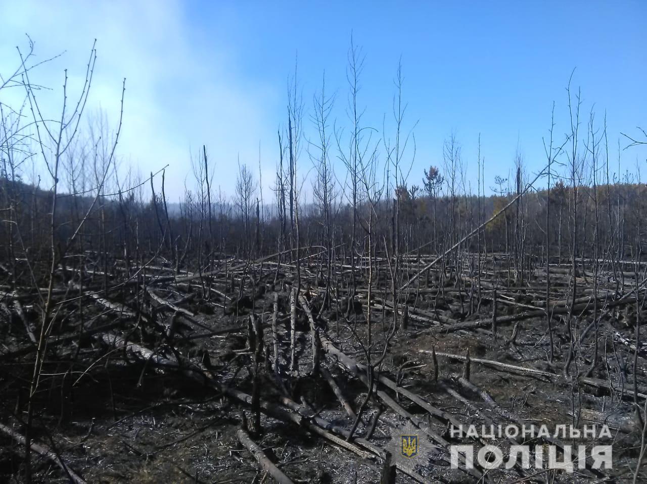 Пожежа в Чорнобилі: поліція відкрила кримінальне провадження, триває ліквідація вогню