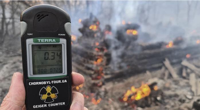 Пожар в Чернобыле продолжается: экологи рассказали, чем грозят последствия, фото — DW