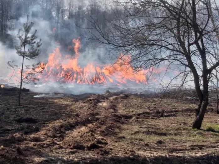 Пожежа в Чорнобилі триває. Фото: ДСНС