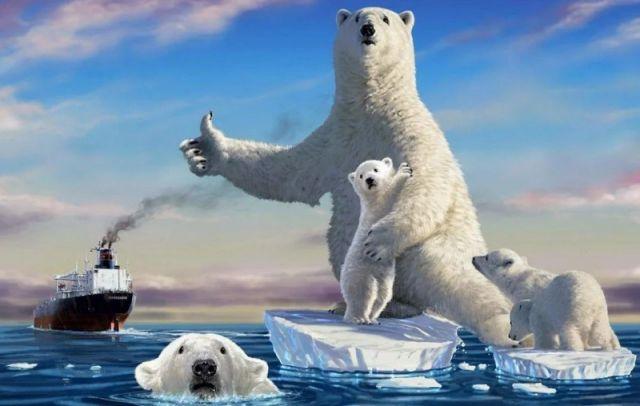 Всеукраинская школа-онлайн: учительница, «переселившая» белых медведей в Антарктиду, объяснила свою ошибку, фото — Comandir