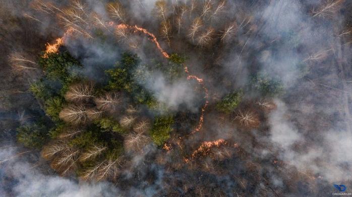Пожежа в Чорнобилі. Фото: DRONARIUM UKRAINE