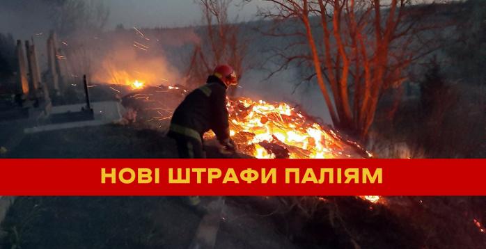 Поджигателей травы будут штрафовать на десятки тысяч гривен: Рада ужесточила ответственность