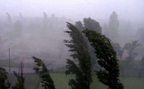 Внезапный ураган засыпал пылью два города на Волыни, скриншот видео