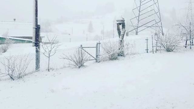 Сніг у Карпатах: у високогір’ї намело метр квітневого снігу / Фото: Фейсбук