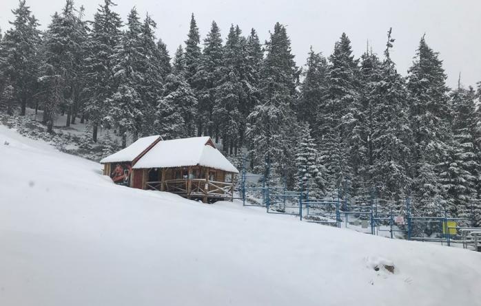 Сніг у Карпатах: у високогір’ї намело метр квітневого снігу, з’явилося фото і відео / Фото: Фейсбук