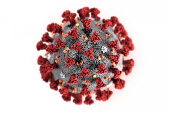 Пандемия коронавируса: ВОЗ заявляет, что пик заболеваемости еще впереди 