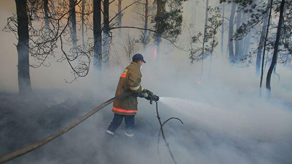 Пожежа в Чорнобилі. Фото: REUTERS