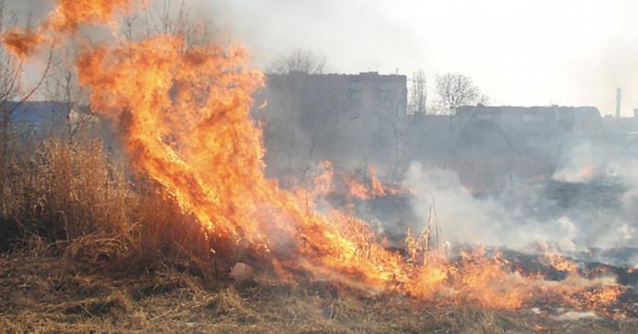 Пожежі в Україні. Фото: mukachevo.net
