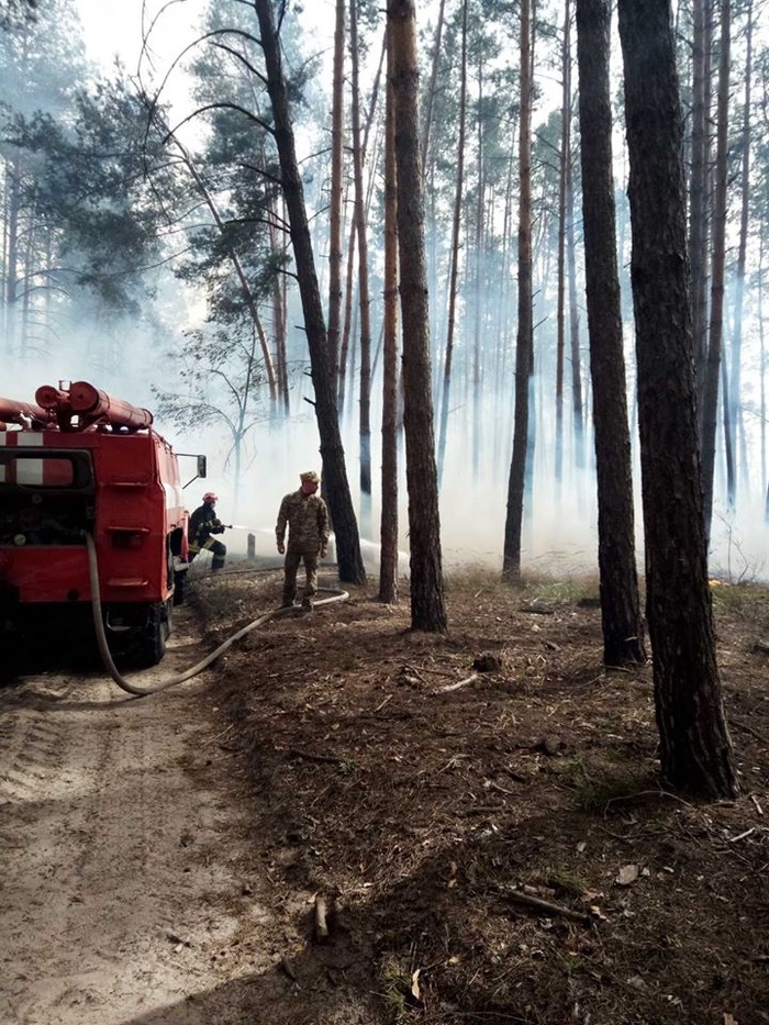 Пожар в Голосеевском парке. Фото: Facebook