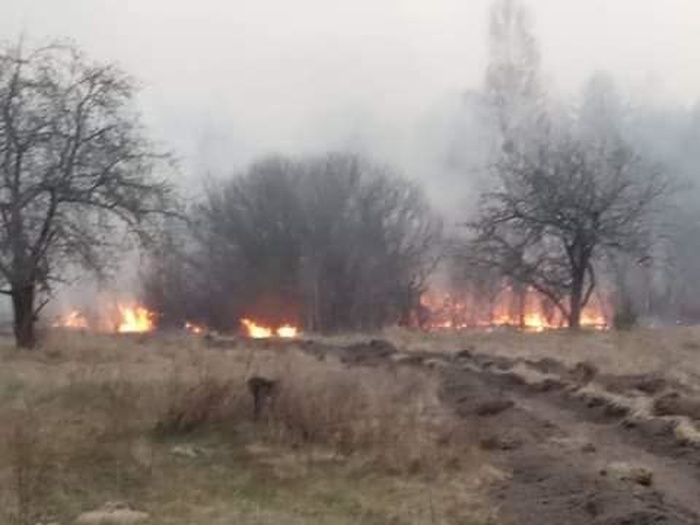 Пожар на Житомирщине. Фото: ТСН