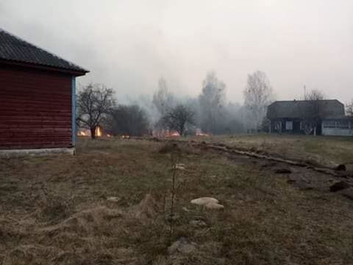 Пожар на Житомирщине. Фото: ТСН
