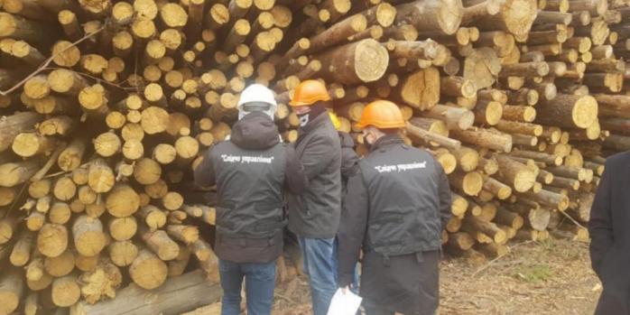 Радіоактивну деревину могли спалювати на Київщині, фото: Національна поліція
