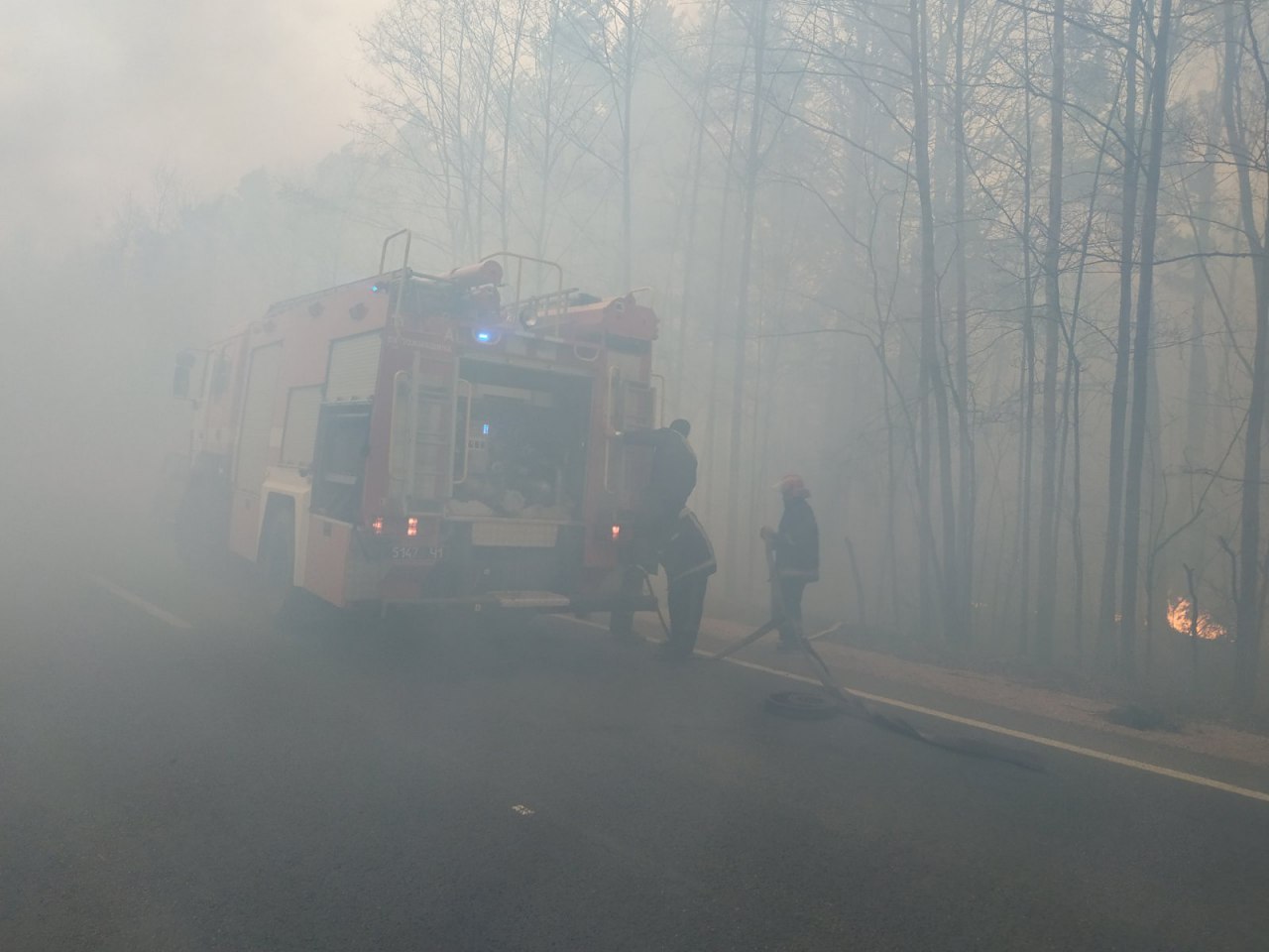 На Житомирщині лісові пожежі перекинулися на села, згоріли 35 будинків, фото — ДСНС