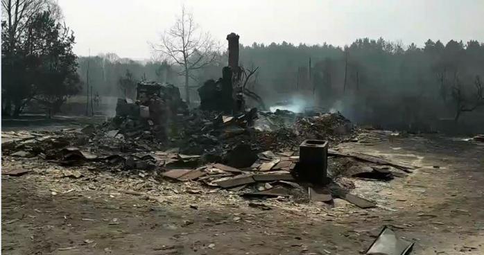 На Житомирщині лісові пожежі перекинулися на села, згоріли 35 будинків, фото — Житомир Інфо