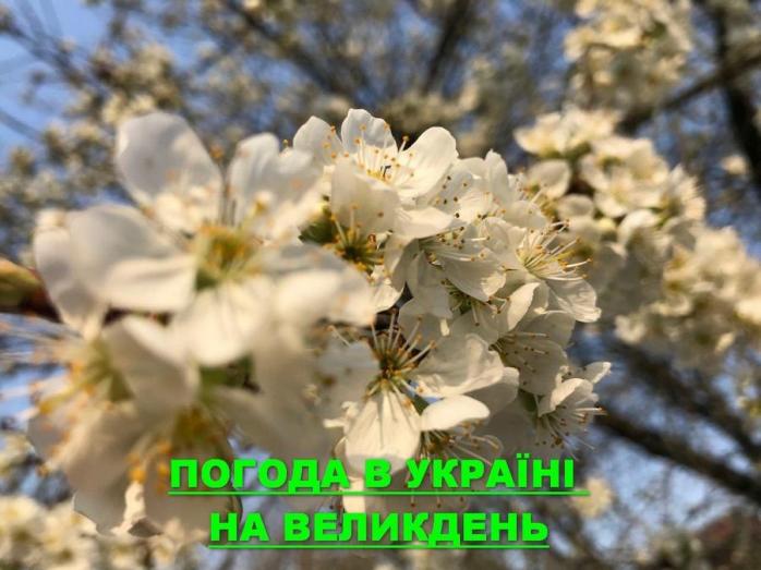 Погода в Украине на 19 апреля