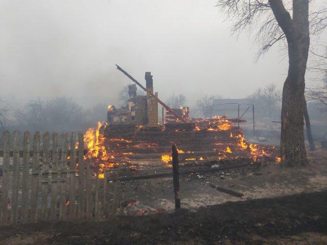 Пожары на Киевщине: Двух поджигателей сухостоя полиция задержала по «наводке» видео местного жителя, фото — ГСЧС