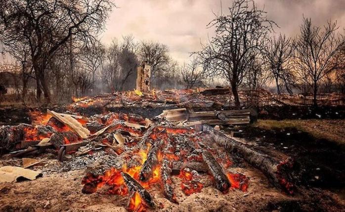 Пожежі на Житомирщині. Фото: socportal.info