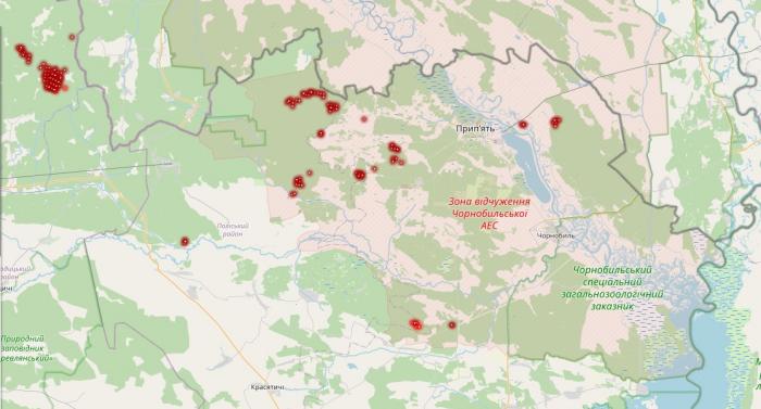 Карта пожаров: globalforestwatch.org