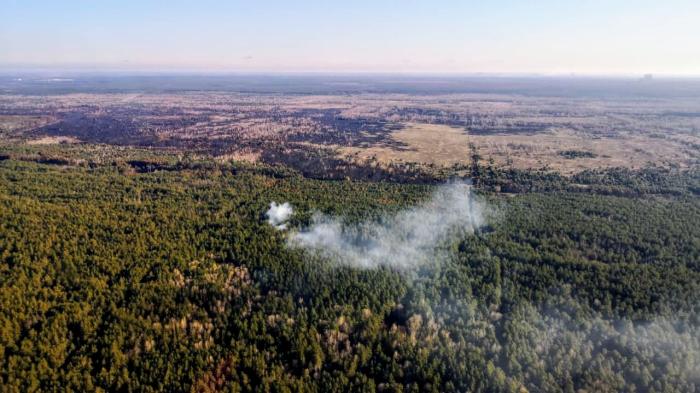 Возгорание в лесу, фото: Арсен Аваков