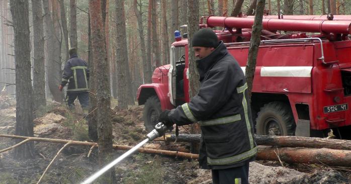 Пожары в лесах Житомирщины. Фото: dsns.gov.ua