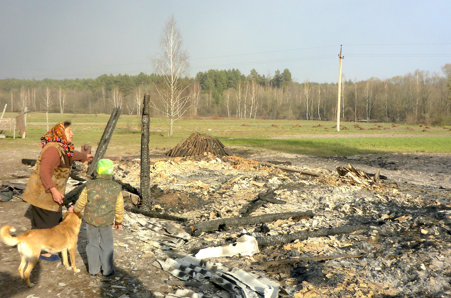 Пожежі на Житомирщині / Фото: Тексти