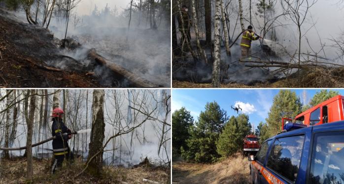 Пожары на Житомирщине могут повториться: названа причина и опасные даты / Фото: ГСЧС