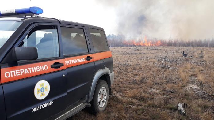 Пожар в Житомирской области. Фото: ГСЧС