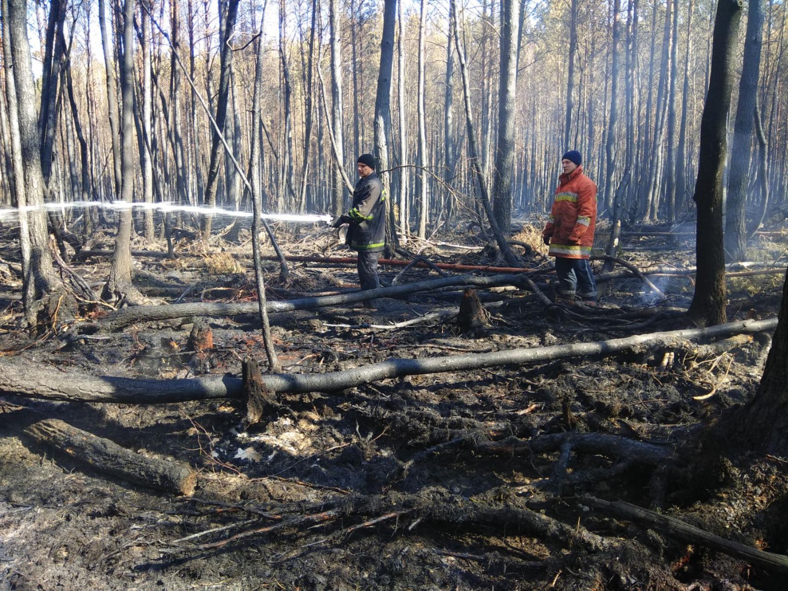 Гасіння пожеж на Житомирщині. Фото: ДСНС