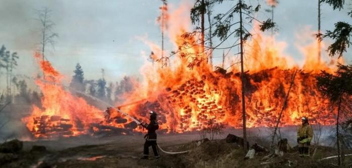 Пожежа в Україні. Фото: DW