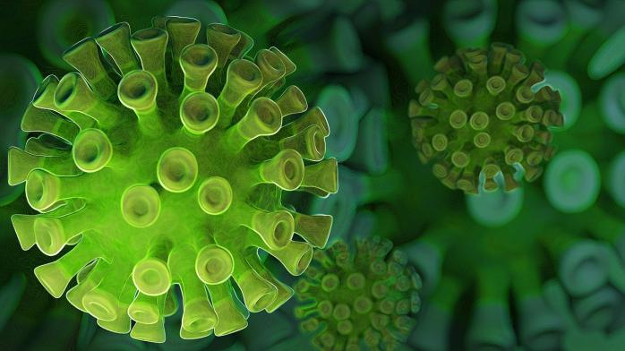 У коронавируса 14 мутаций, он стал более заразным, фото — Pixabay