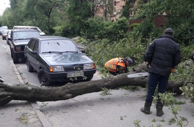 Погода в Україні зіпсувалася: шквальний вітер наробив лиха на Львівщині та Закарпатті