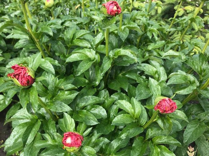 Погода в Україні. Фото: Ракурс