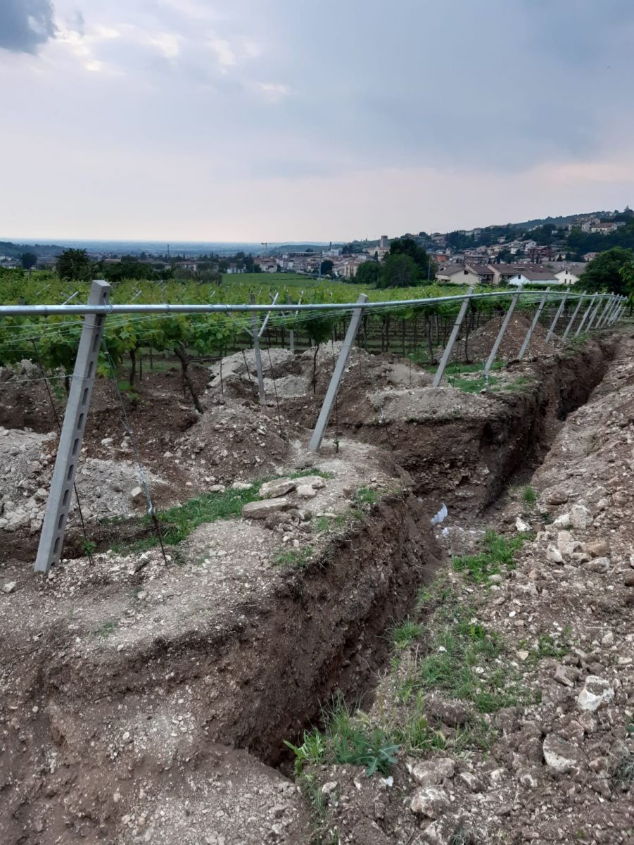 Археологи знайшли під виноградниками у Вероні давньоримську мозаїку. Фото: Comune di Negrar di Valpolicella