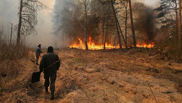 Пожежа у Чорнобилі. Фото: ДАЗВ
