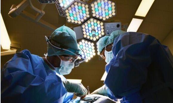 Унікальна операція: Італійка фарширувала оливки, поки лікарі оперували її мозок, фото — Pixabay