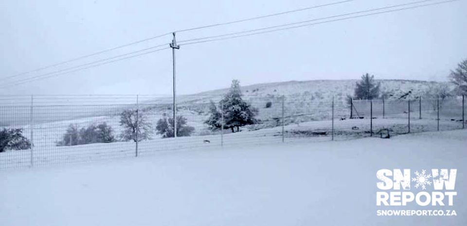 Сніг в Африці випав у червні / Фото: Snow Report SA у Фейсбук