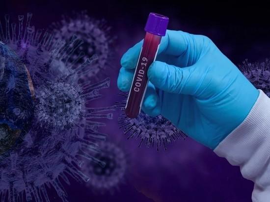 Тести на коронавірус: вчені придумали, як виявити хворобу за півгодини, фото — Pixabay