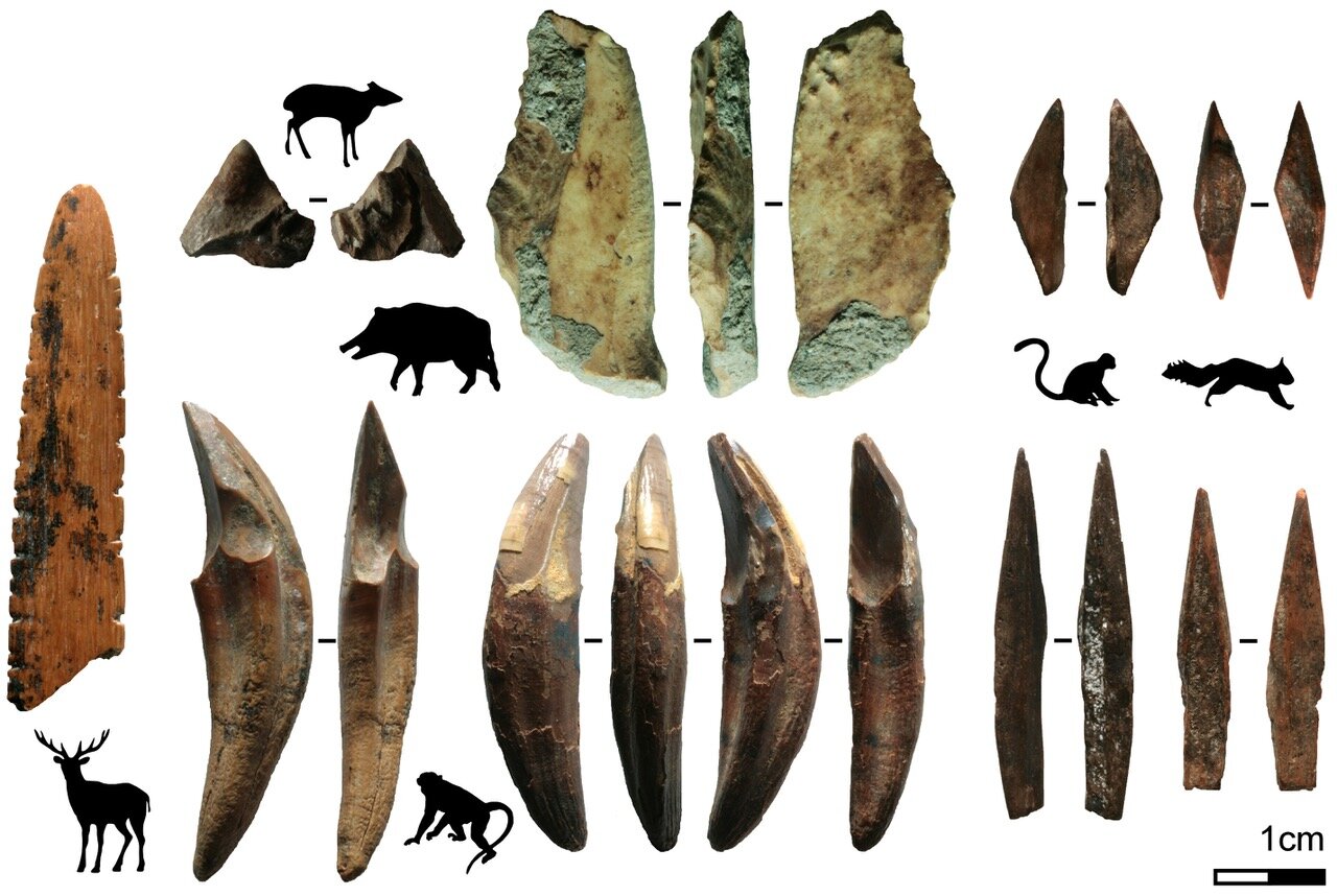 Ископаемые инструменты, найденные на юге Шри-Ланки, фото: MC Langley
